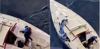 RESCATARON A DOS HOMBRES Y SU PERRA TRAS SOBREVIVIR 10 DÍAS A LA DERIVA EN EL OCÉANO ATLÁNTICO