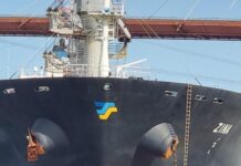 UN BUQUE DE CARGA CHOCA CONTRA EL PUENTE DE ZÁRATE BRAZO LARGO