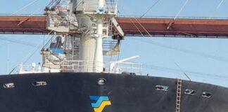 UN BUQUE DE CARGA CHOCA CONTRA EL PUENTE DE ZÁRATE BRAZO LARGO