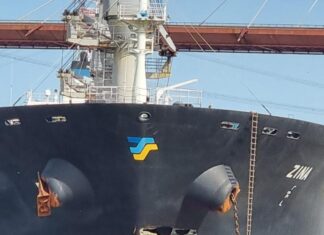 UN BUQUE DE CARGA CHOCA CONTRA EL PUENTE DE ZÁRATE BRAZO LARGO