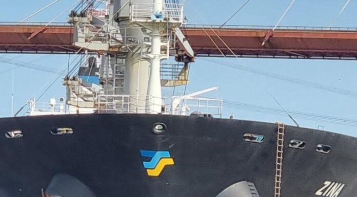 UN BUQUE DE CARGA CHOCA CONTRA EL PUENTE DE ZÁRATE BRAZO LARGO