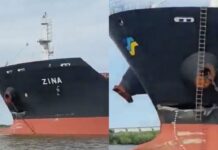 “QUE TEMBLÓ EL PUENTE ES TODA ZARAZA”: EL AUDIO QUE EXPLICA EL CHOQUE DEL BULK CARRIER EN EL PUENTE ZÁRATE BRAZO LARGO