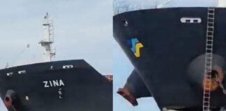 “QUE TEMBLÓ EL PUENTE ES TODA ZARAZA”: EL AUDIO QUE EXPLICA EL CHOQUE DEL BULK CARRIER EN EL PUENTE ZÁRATE BRAZO LARGO