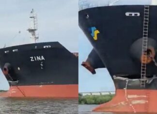 “QUE TEMBLÓ EL PUENTE ES TODA ZARAZA”: EL AUDIO QUE EXPLICA EL CHOQUE DEL BULK CARRIER EN EL PUENTE ZÁRATE BRAZO LARGO