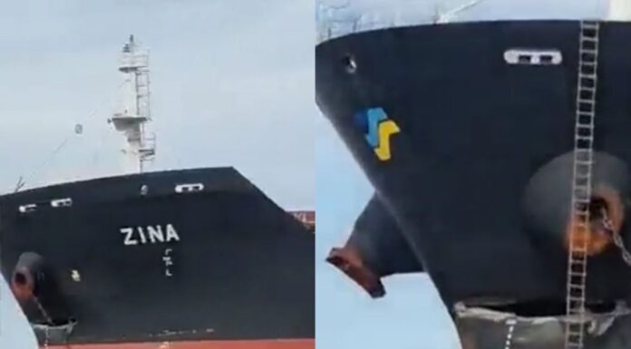 “QUE TEMBLÓ EL PUENTE ES TODA ZARAZA”: EL AUDIO QUE EXPLICA EL CHOQUE DEL BULK CARRIER EN EL PUENTE ZÁRATE BRAZO LARGO
