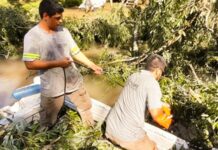 EN EL DELTA DE TIGRE, EL MUNICIPIO REALIZÓ TRABAJOS DE MANTENIMIENTOS Y DESTRONQUES