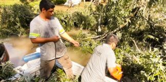 EN EL DELTA DE TIGRE, EL MUNICIPIO REALIZÓ TRABAJOS DE MANTENIMIENTOS Y DESTRONQUES
