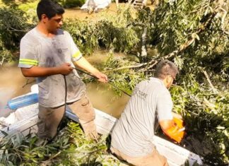 EN EL DELTA DE TIGRE, EL MUNICIPIO REALIZÓ TRABAJOS DE MANTENIMIENTOS Y DESTRONQUES