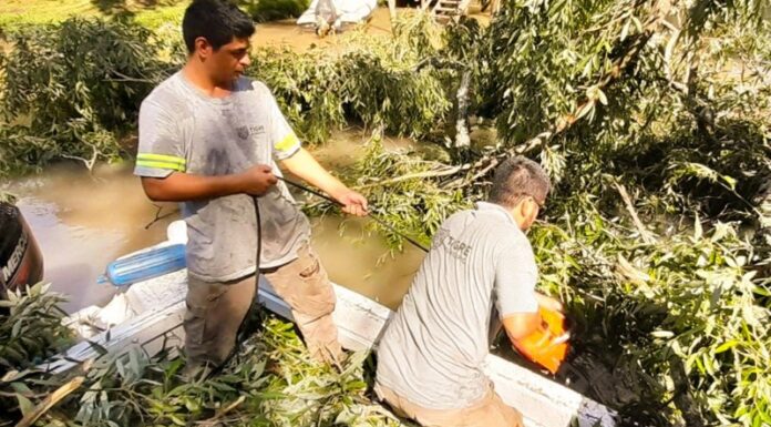EN EL DELTA DE TIGRE, EL MUNICIPIO REALIZÓ TRABAJOS DE MANTENIMIENTOS Y DESTRONQUES