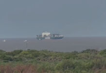 RIO DE LA PLATA – FUE LIBERADO EL ENORME CONTAINERO DE 335 M SE VARÓ Y BLOQUEÓ EL ACCESO AL PUERTO DE BS AS POR UNAS HORAS