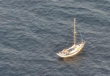UN VELERO NAUFRAGA TRAS CHOCAR CON UNA BALLENA EN MEDIO DEL PACÍFICO: “NO ES BROMA, AVISA, ME QUEDA POCA BATERÍA”