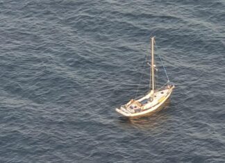 UN VELERO NAUFRAGA TRAS CHOCAR CON UNA BALLENA EN MEDIO DEL PACÍFICO: “NO ES BROMA, AVISA, ME QUEDA POCA BATERÍA”