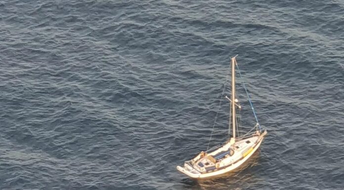 UN VELERO NAUFRAGA TRAS CHOCAR CON UNA BALLENA EN MEDIO DEL PACÍFICO: “NO ES BROMA, AVISA, ME QUEDA POCA BATERÍA”
