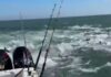 EL TEMIBLE VIDEO DE UN BARCO PESQUERO RODEADO DE TIBURONES EN LOUSIANA: “NUNCA HABÍAMOS VISTO ALGO ASÍ”