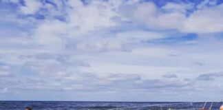 UN VELERO SE SOLTÓ DE SU AMARRA EN MONTEVIDEO, NAVEGÓ A LA DERIVA SIN TRIPULACIÓN UNA SEMANA Y MIRÁ DONDE TERMINÓ