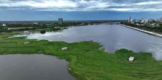 EMBALSADOS DE LA DISCORDIA: ESTE MARTES ES EL DÍA CLAVE PARA INTENTAR ABRIR PASO A LA LAGUNA SETÚBAL