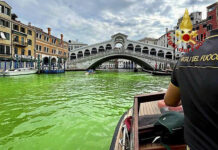 EL GRAN CANAL DE VENECIA SE TIÑE DE VERDE Y BUSCAN A LOS RESPONSABLES