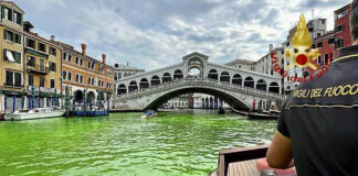 EL GRAN CANAL DE VENECIA SE TIÑE DE VERDE Y BUSCAN A LOS RESPONSABLES