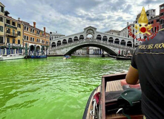 EL GRAN CANAL DE VENECIA SE TIÑE DE VERDE Y BUSCAN A LOS RESPONSABLES
