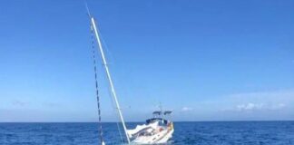 TRES ORCAS HUNDEN UN VELERO CERCA DE GIBRALTAR EN EL ATAQUE MAS GRAVE DE LOS 20 REGISTRADOS ESTE AÑO