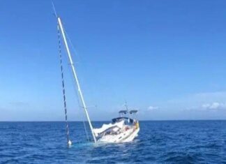 LAS ORCAS HUNDEN EL PRIMER BARCO DE LA TEMPORADA FRENTE AL ESTRECHO DE GIBRALTAR