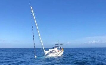 TRES ORCAS HUNDEN UN VELERO CERCA DE GIBRALTAR EN EL ATAQUE MAS GRAVE DE LOS 20 REGISTRADOS ESTE AÑO