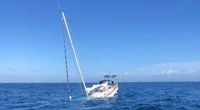 TRES ORCAS HUNDEN UN VELERO CERCA DE GIBRALTAR EN EL ATAQUE MAS GRAVE DE LOS 20 REGISTRADOS ESTE AÑO