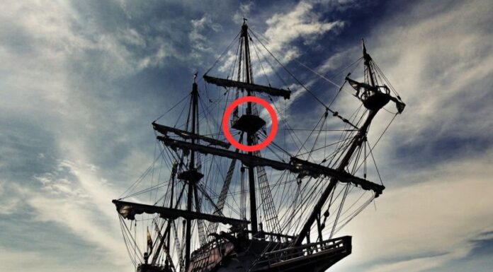 ¿CUÁL ES EL ORIGEN DE LA PALABRA “CARAJO”?