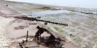 ARQUEÓLOGOS SUBMARINOS ESTUDIAN LOS RESTOS DE UNA EMBARCACIÓN DE FINES DEL SIGLO XIX