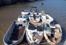 ROBO DE LANCHAS, RECUPERAN NUEVE EMBARCACIONES DESGUAZADAS