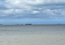 POR UN ALERTA DE TORMENTA, LAS COSTA DE MAR DEL PLATA SE LLENÓ DE BARCOS QUE BUSCARON REFUGIO