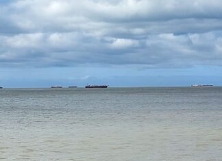 POR UN ALERTA DE TORMENTA, LAS COSTA DE MAR DEL PLATA SE LLENÓ DE BARCOS QUE BUSCARON REFUGIO