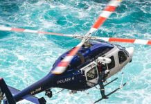 UN HOMBRE MUERE LUEGO DE QUE UNA BALLENA CHOCÓ CONTRA SU EMBARCACIÓN EN AUSTRALIA