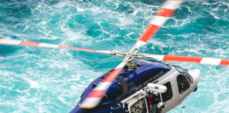 UN HOMBRE MUERE LUEGO DE QUE UNA BALLENA CHOCÓ CONTRA SU EMBARCACIÓN EN AUSTRALIA