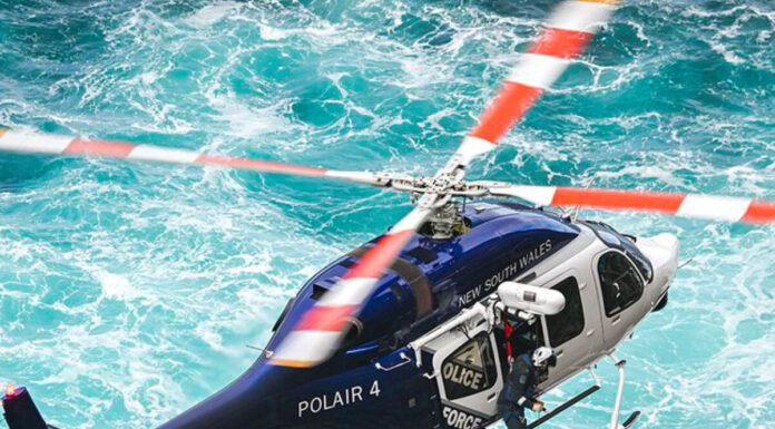 UN HOMBRE MUERE LUEGO DE QUE UNA BALLENA CHOCÓ CONTRA SU EMBARCACIÓN EN AUSTRALIA