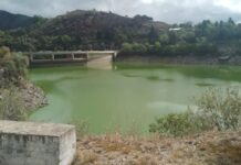 OTRA VEZ, EL DIQUE LOS MOLINOS CON ALGAS: ESCUELAS SIN CLASES Y UNA COMPETENCIA NÁUTICA QUE SE MUDÓ