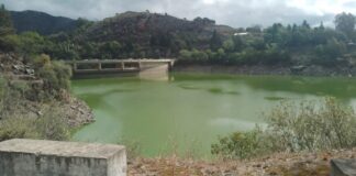 OTRA VEZ, EL DIQUE LOS MOLINOS CON ALGAS: ESCUELAS SIN CLASES Y UNA COMPETENCIA NÁUTICA QUE SE MUDÓ