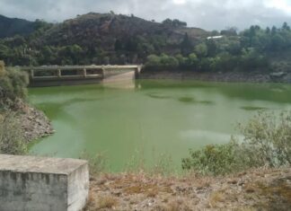 OTRA VEZ, EL DIQUE LOS MOLINOS CON ALGAS: ESCUELAS SIN CLASES Y UNA COMPETENCIA NÁUTICA QUE SE MUDÓ