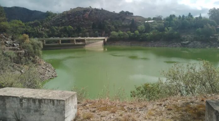 OTRA VEZ, EL DIQUE LOS MOLINOS CON ALGAS: ESCUELAS SIN CLASES Y UNA COMPETENCIA NÁUTICA QUE SE MUDÓ
