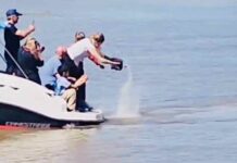 ¡PROMESA CUMPLIDA!, LAS CENIZAS DE ROBERTO “LOCO” NARDINI FUERON ARROJADAS A LAS AGUAS DEL RÍO