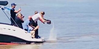 ¡PROMESA CUMPLIDA!, LAS CENIZAS DE ROBERTO “LOCO” NARDINI FUERON ARROJADAS A LAS AGUAS DEL RÍO