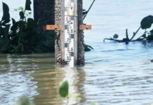 TRAS SUPERAR LOS 2 METROS, EL RÍO PARANÁ VUELVE A BAJAR EN SANTA FE Y LA REGIÓN