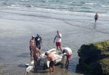PUERTO PIRÁMIDES – NAVEGABAN EN SU VELERO, LA CORRIENTE Y LOS VIENTOS LOS TUMBÓ Y CAYERON AL AGUA