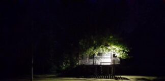 EN LOS PRÓXIMOS DÍAS SERÁ RESTITUIDO EN SU TOTALIDAD EL SERVICIO ELÉCTRICO EN EL DELTA, SEGÚN EDENOR