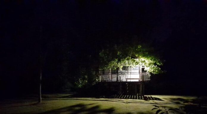 EN LOS PRÓXIMOS DÍAS SERÁ RESTITUIDO EN SU TOTALIDAD EL SERVICIO ELÉCTRICO EN EL DELTA, SEGÚN EDENOR