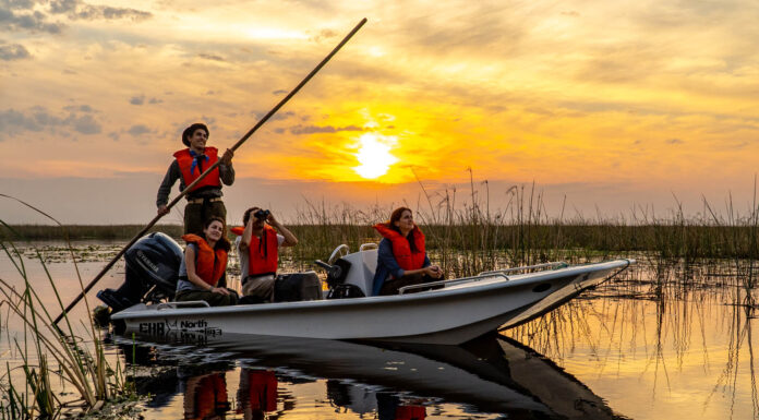 LOS ESTEROS DEL IBERÁ FUERON ELEGIDOS ENTRE LOS DESTINOS MÁS APASIONANTES