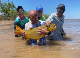PESCARON UN EJEMPLAR DE DORADO QUE SUPERÓ LOS 15 KILOS EN EL RÍO PARANÁ