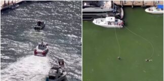 RESCATAN A UN PASAJERO QUE SE CAYÓ DE UN YATE EN EL RÍO DE MIAMI