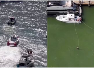 RESCATAN A UN PASAJERO QUE SE CAYÓ DE UN YATE EN EL RÍO DE MIAMI