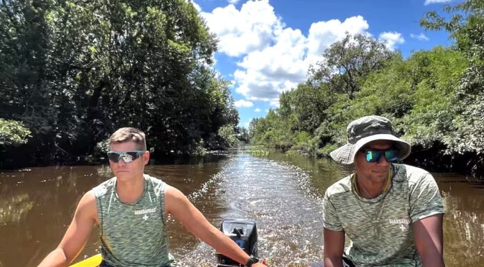 GUARDIANES DEL DELTA DEL PARANÁ: QUIÉNES SON LOS GUARDAVIDAS QUE SE OCUPAN DE LIMPIAR EL RÍO Y REFORESTAR LA ZONA